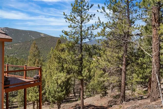 461 Hitchrack Road Bailey, CO 80421