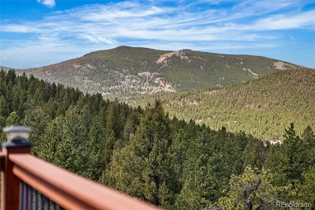 461 Hitchrack Road Bailey, CO 80421
