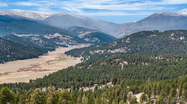 461 Hitchrack Road Bailey, CO 80421