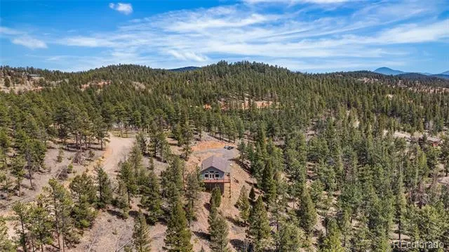 461 Hitchrack Road Bailey, CO 80421