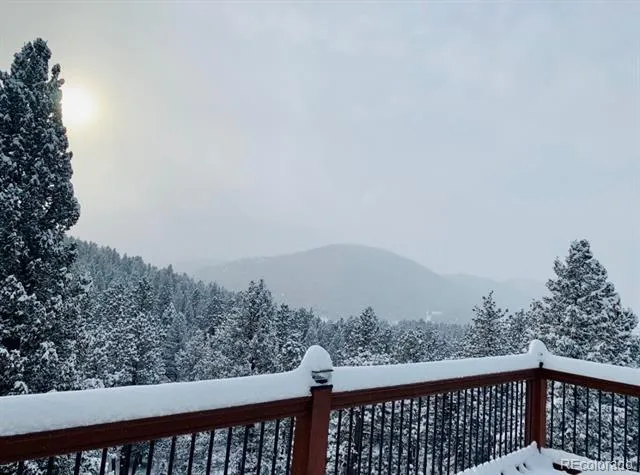 461 Hitchrack Road Bailey, CO 80421