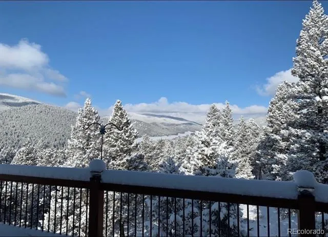 461 Hitchrack Road Bailey, CO 80421