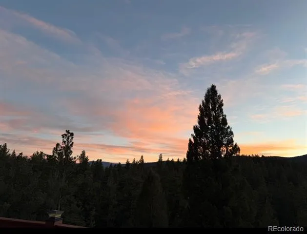 461 Hitchrack Road Bailey, CO 80421