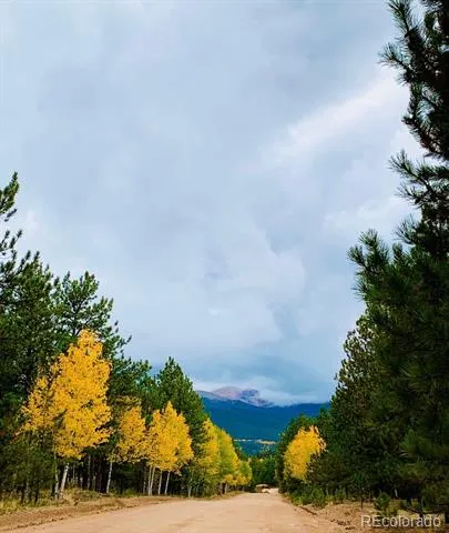 461 Hitchrack Road Bailey, CO 80421