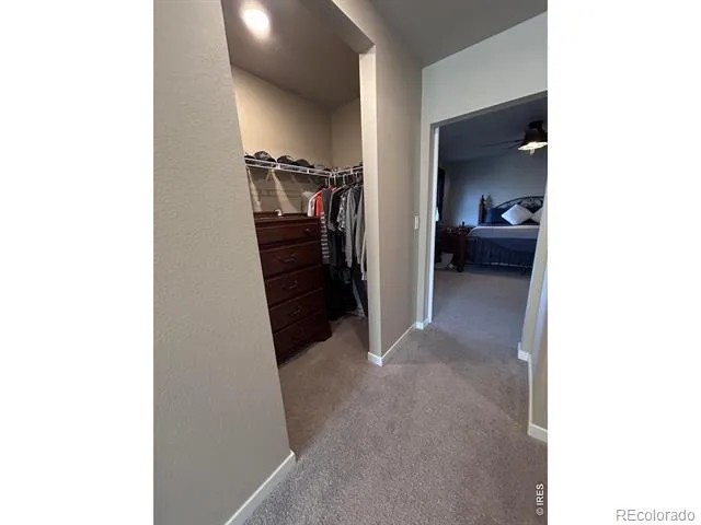 1202 Coyote Lane Wiggins, CO 80654