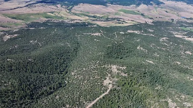 838 Ridgeway Road Cotopaxi, CO 81223