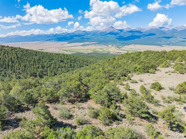 838 Ridgeway Road Cotopaxi, CO 81223
