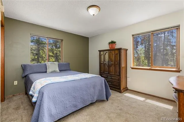 10868 Norton Avenue Conifer, CO 80433