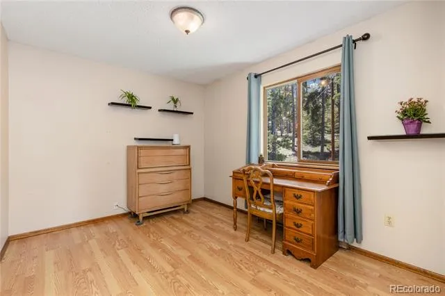 10868 Norton Avenue Conifer, CO 80433
