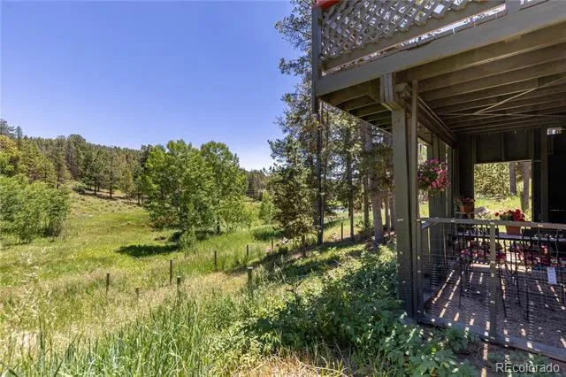 10868 Norton Avenue Conifer, CO 80433