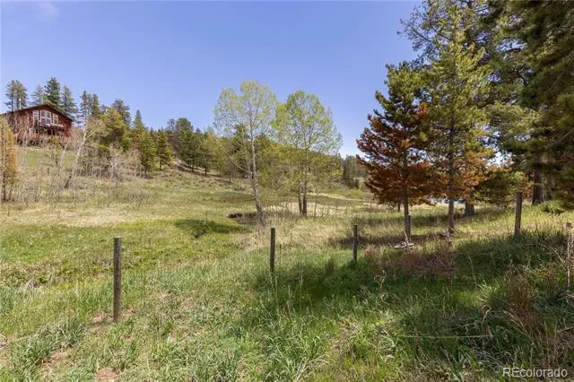10868 Norton Avenue Conifer, CO 80433
