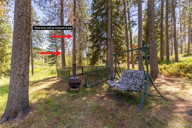 10868 Norton Avenue Conifer, CO 80433