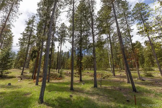 10868 Norton Avenue Conifer, CO 80433
