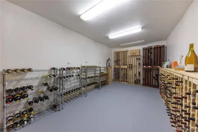 354 Ensign Drive Dillon, CO 80435