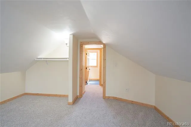 122 S Toledo Avenue Leadville, CO 80461