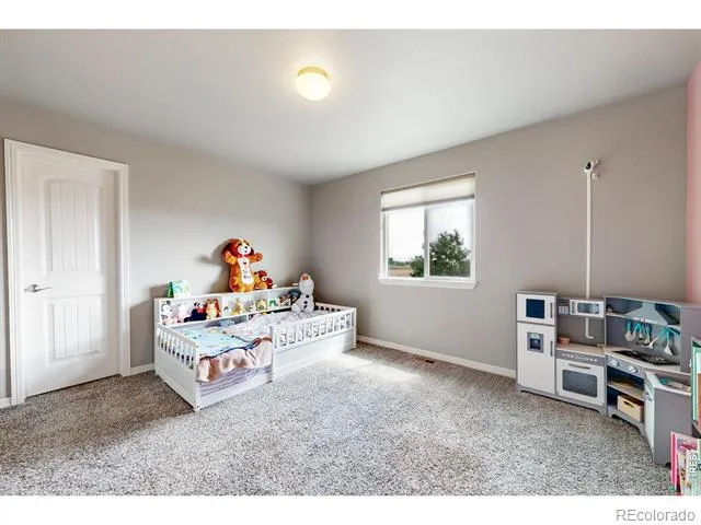 1509 Cirque Valley Lane Severance, CO 80550