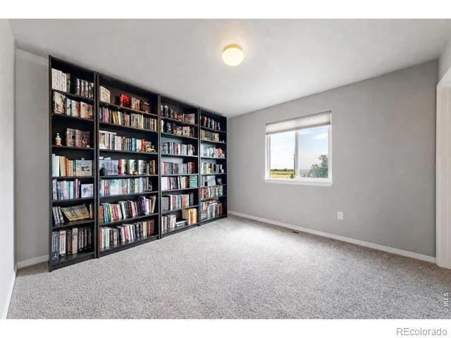 1509 Cirque Valley Lane Severance, CO 80550