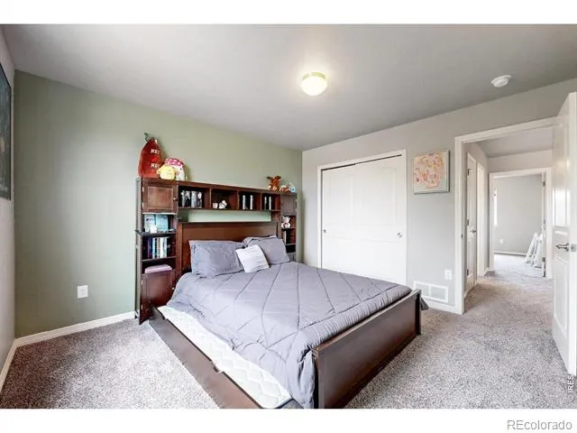 1509 Cirque Valley Lane Severance, CO 80550
