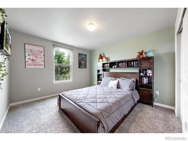 1509 Cirque Valley Lane Severance, CO 80550