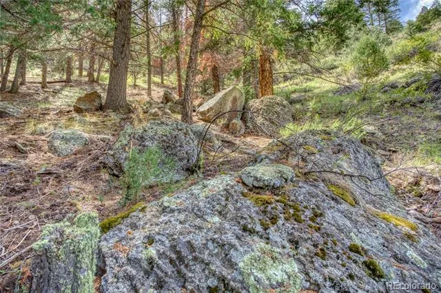 1139 Rio Grande Club Trail South Fork, CO 81154