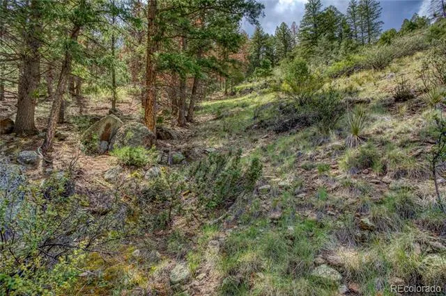 1139 Rio Grande Club Trail South Fork, CO 81154