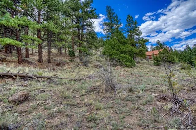 1139 Rio Grande Club Trail South Fork, CO 81154