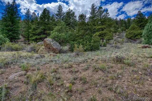 1139 Rio Grande Club Trail South Fork, CO 81154