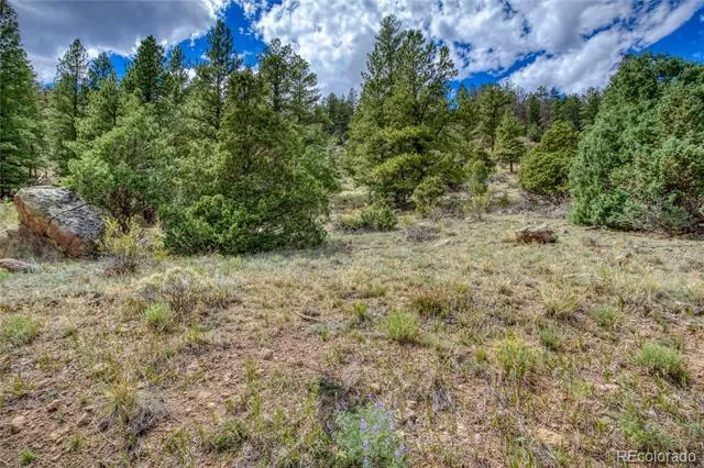 1139 Rio Grande Club Trail South Fork, CO 81154