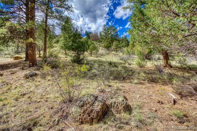 1139 Rio Grande Club Trail South Fork, CO 81154