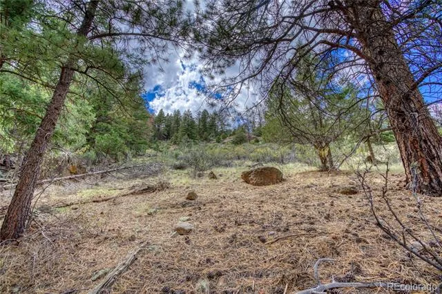 1139 Rio Grande Club Trail South Fork, CO 81154