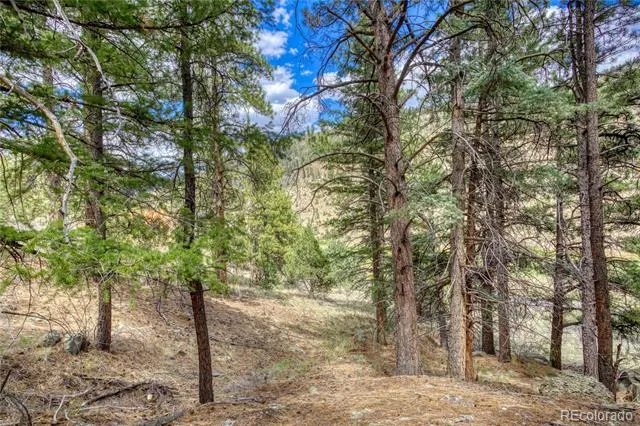 1139 Rio Grande Club Trail South Fork, CO 81154