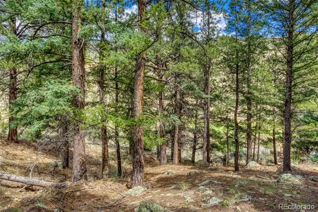 1139 Rio Grande Club Trail South Fork, CO 81154