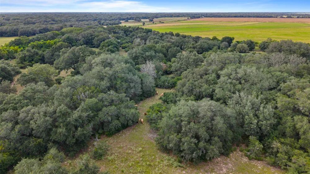 382 Louise, TX 77455