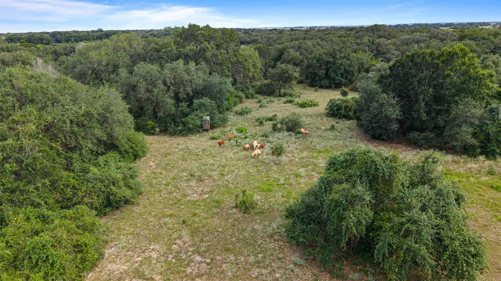 382 Louise, TX 77455