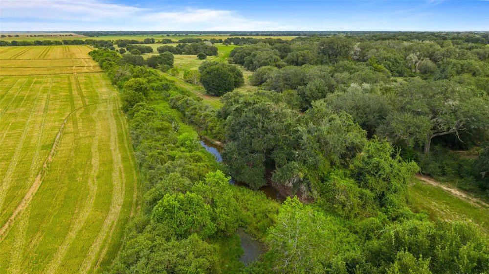 382 Louise, TX 77455