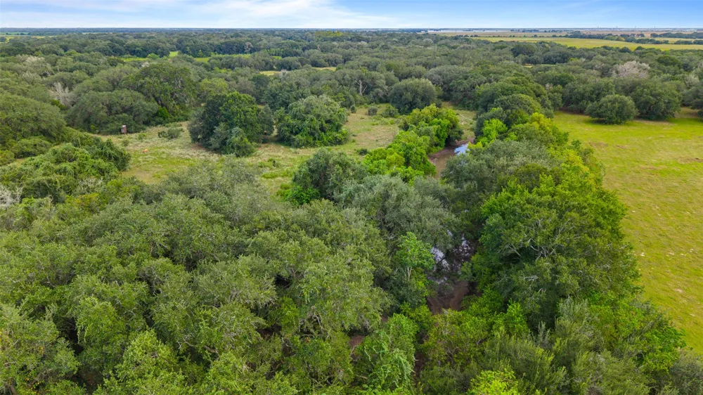 382 Louise, TX 77455