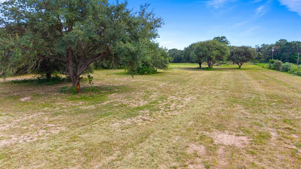 382 Louise, TX 77455