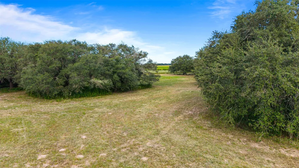 382 Louise, TX 77455