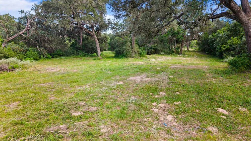 382 Louise, TX 77455