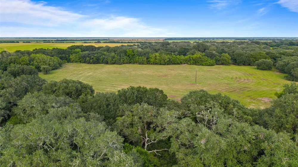 382 Louise, TX 77455