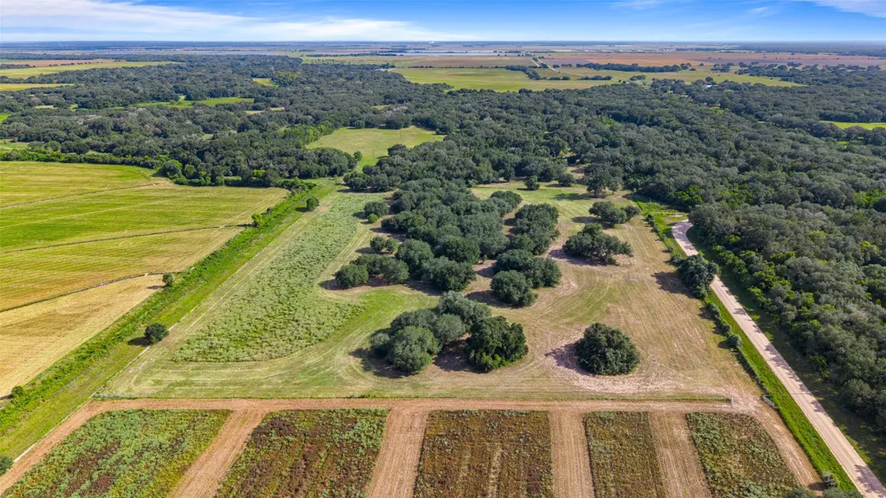 382 Louise, TX 77455