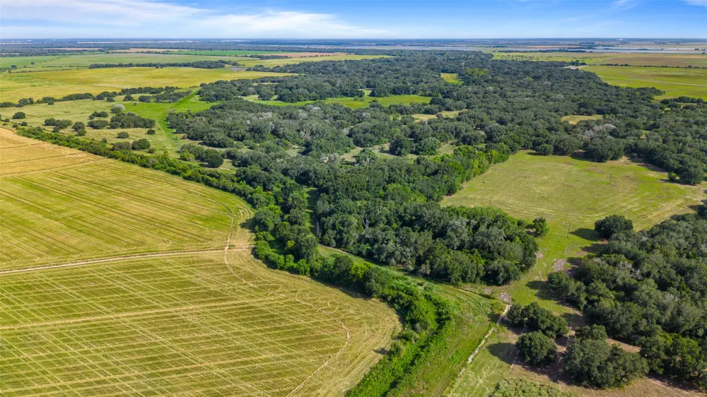 382 Louise, TX 77455