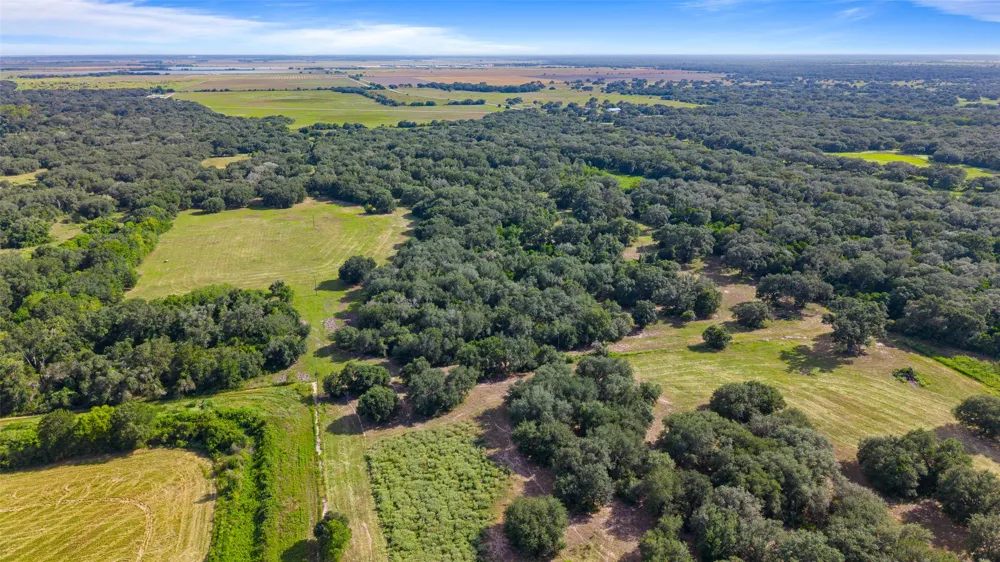 382 Louise, TX 77455
