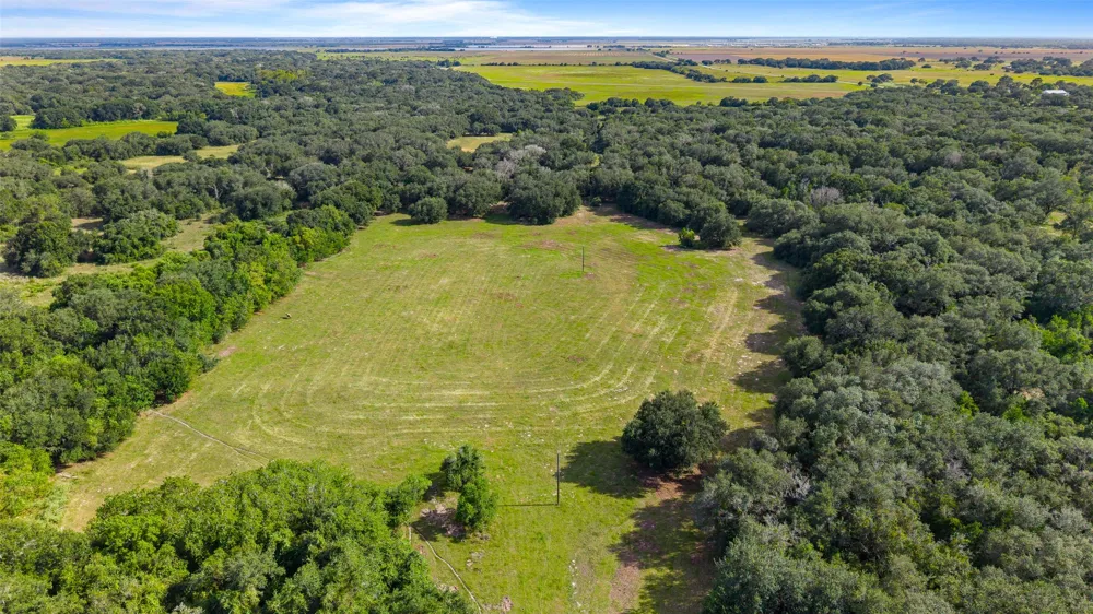 382 Louise, TX 77455