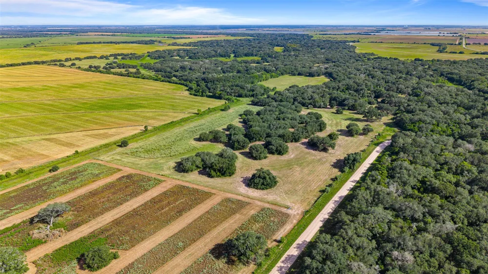 382 Louise, TX 77455