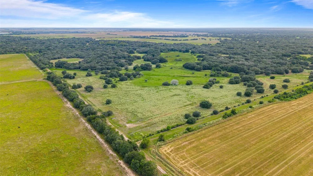 382 Louise, TX 77455