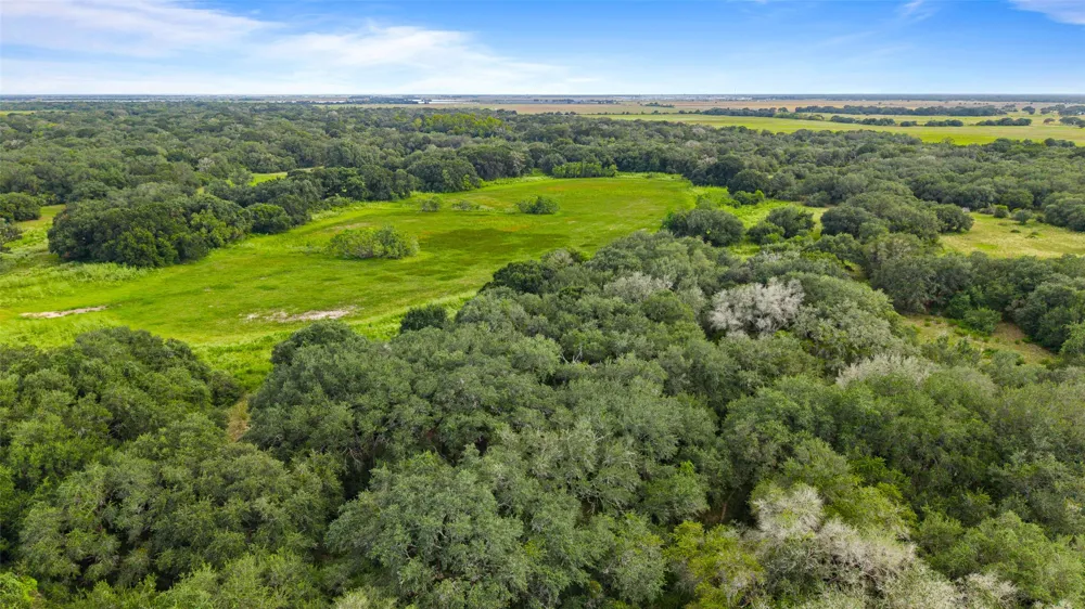 382 Louise, TX 77455