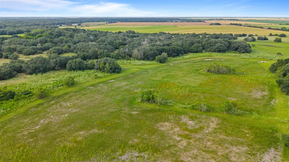 382 Louise, TX 77455