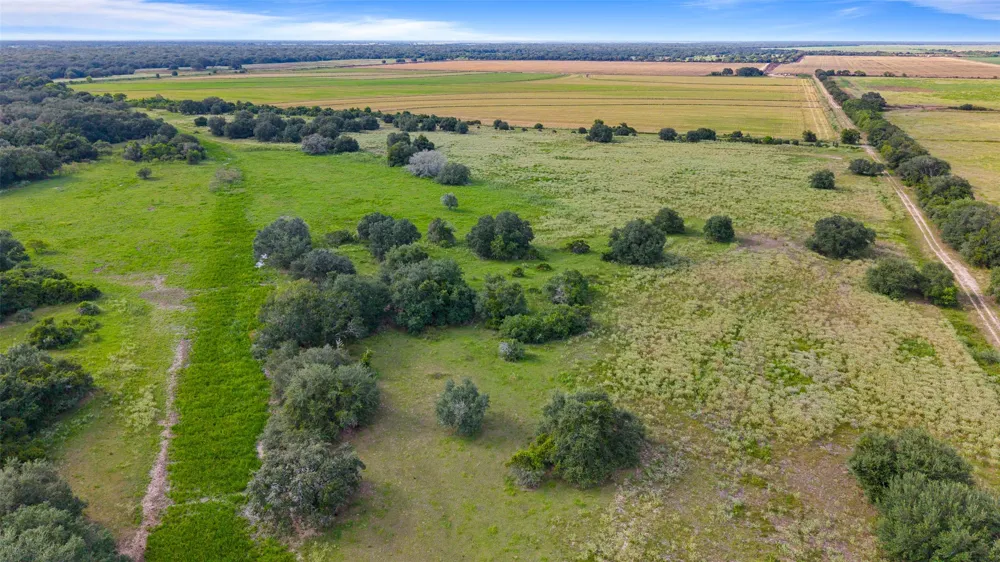 382 Louise, TX 77455