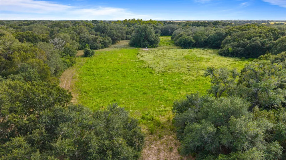 382 Louise, TX 77455